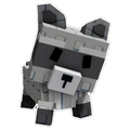Raccoon