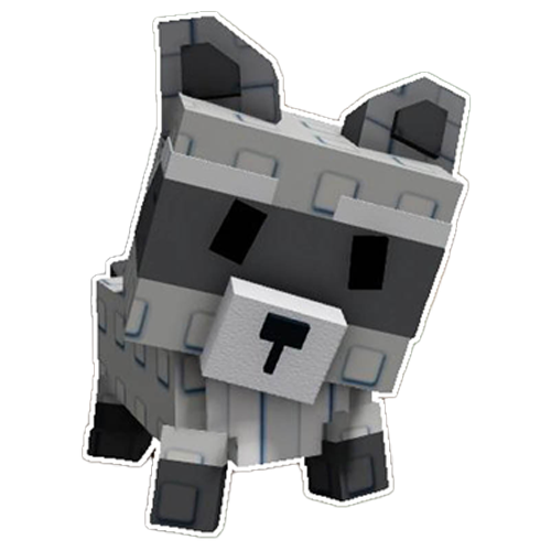 Raccoon